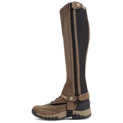 Ariat Terrain II Chap - Halve Chaps Bruin / Grijs Heren - 16907-110